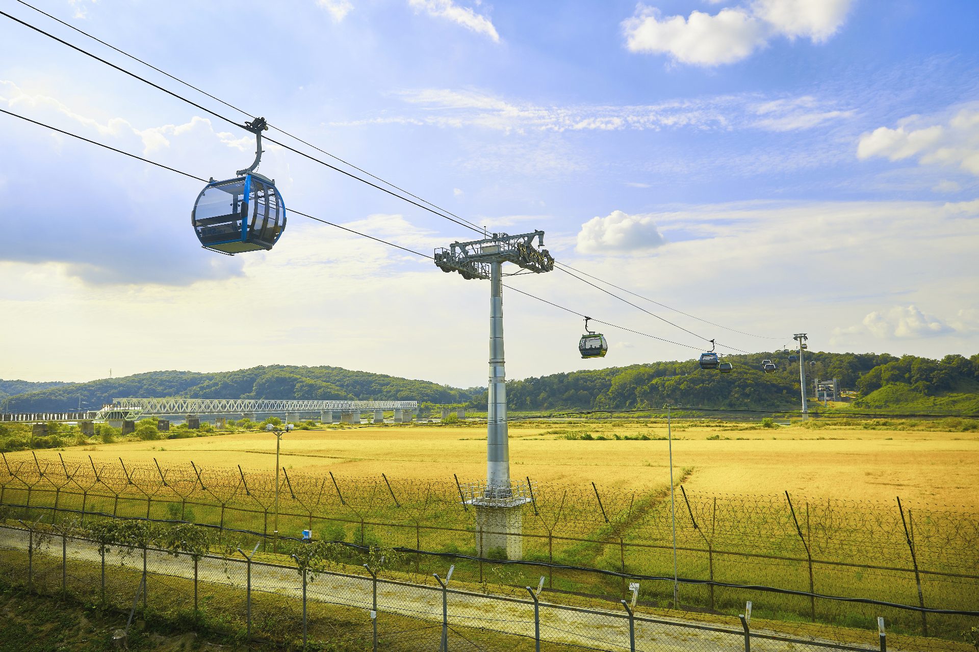 A photo of the Paju DMZ Gondola crossing the Imjin River during Autumn with a bright yellow coloured field underneath and barbed wire surrounding the river